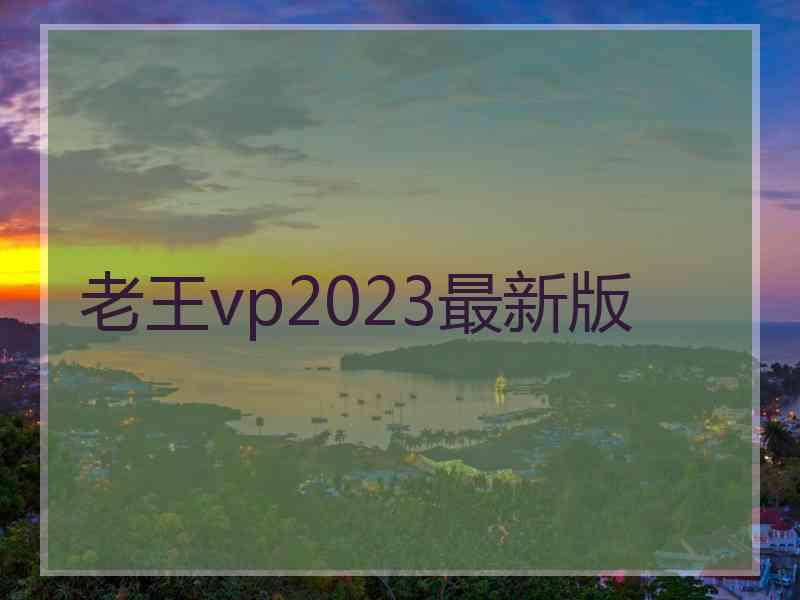 老王vp2023最新版