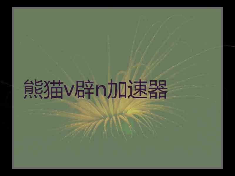 熊猫v辟n加速器
