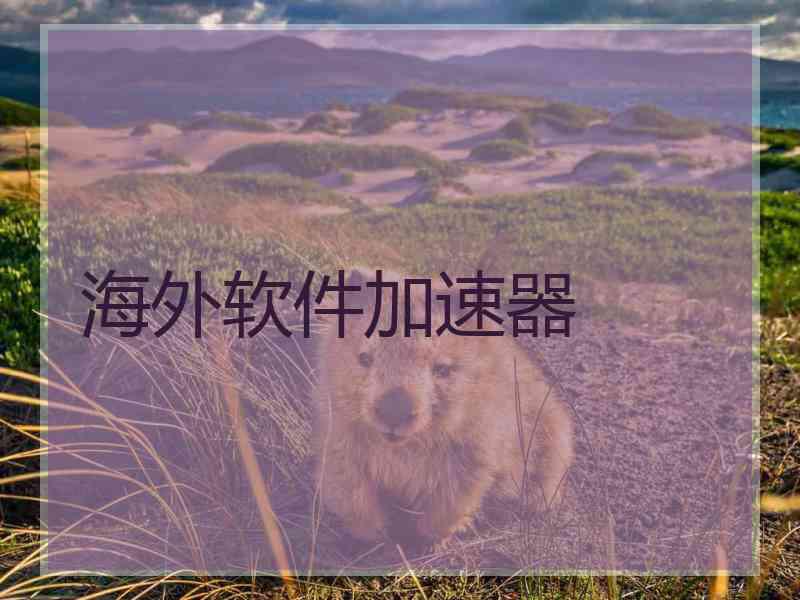 海外软件加速器