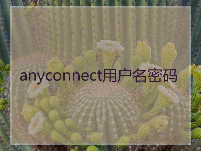 anyconnect用户名密码