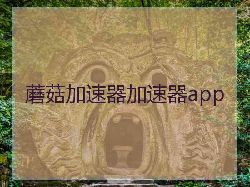 蘑菇加速器加速器app