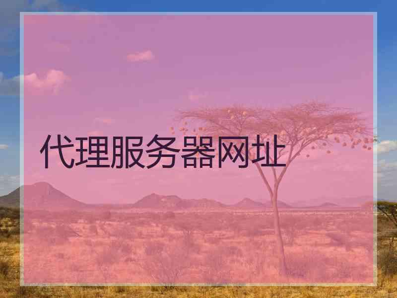 代理服务器网址