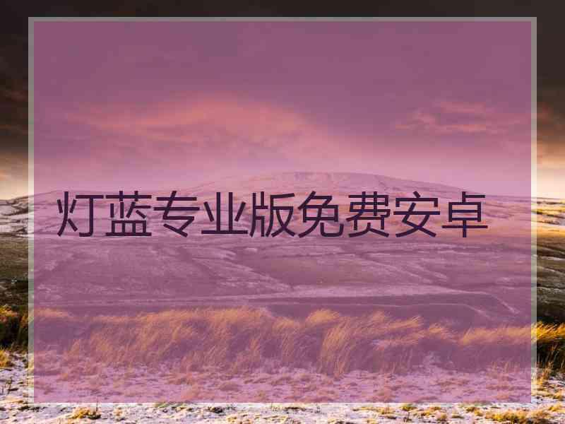 灯蓝专业版免费安卓