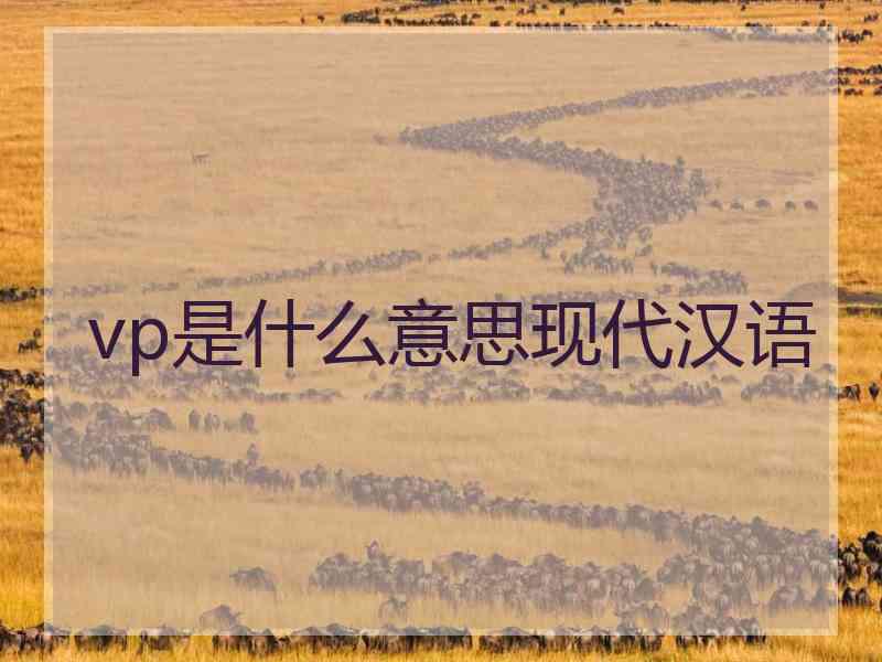 vp是什么意思现代汉语