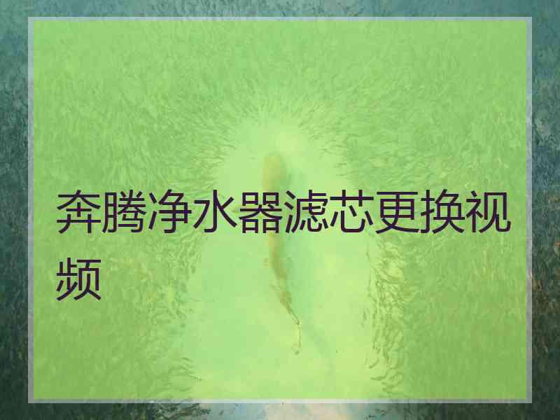 奔腾净水器滤芯更换视频