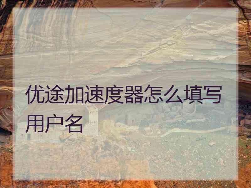 优途加速度器怎么填写用户名