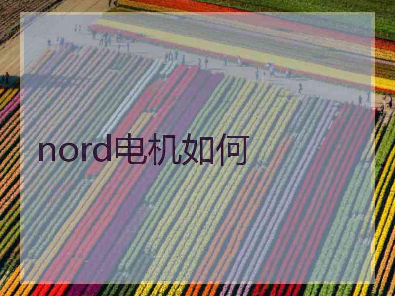 nord电机如何