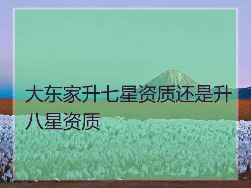 大东家升七星资质还是升八星资质