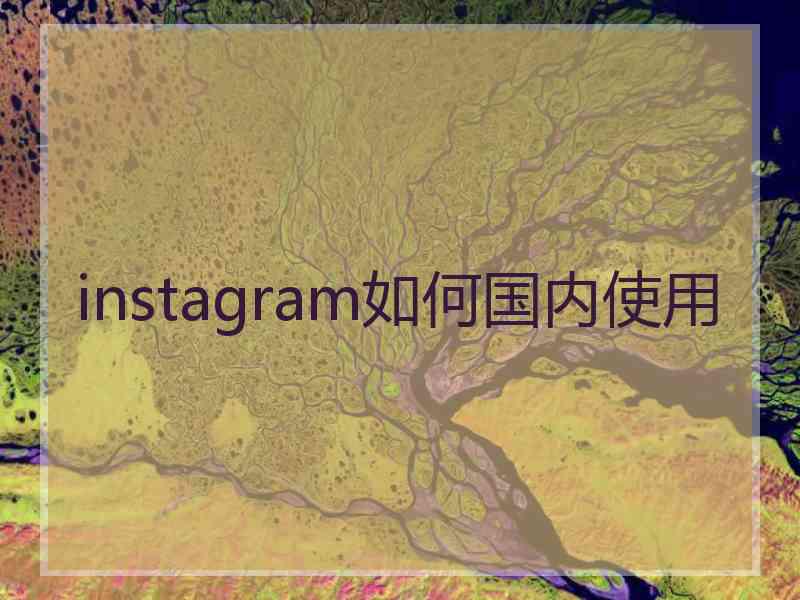 instagram如何国内使用