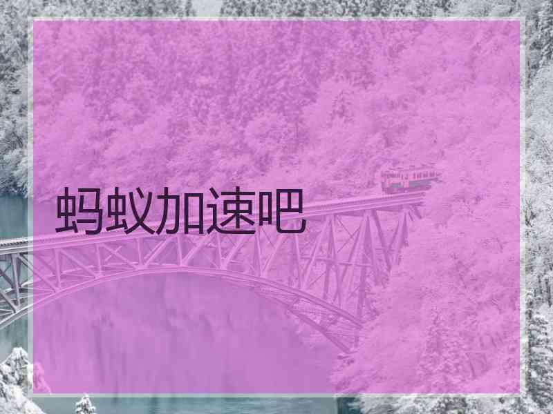 蚂蚁加速吧