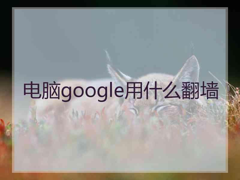 电脑google用什么翻墙