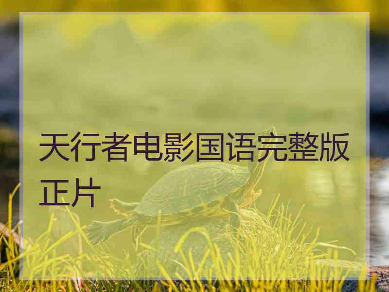天行者电影国语完整版正片