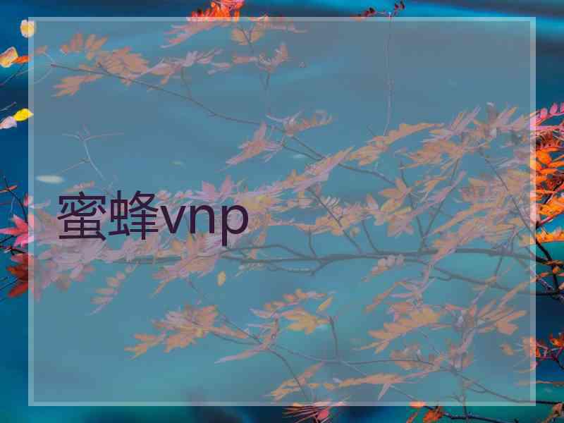 蜜蜂vnp