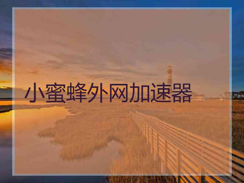 小蜜蜂外网加速器