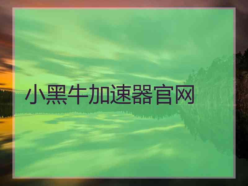 小黑牛加速器官网