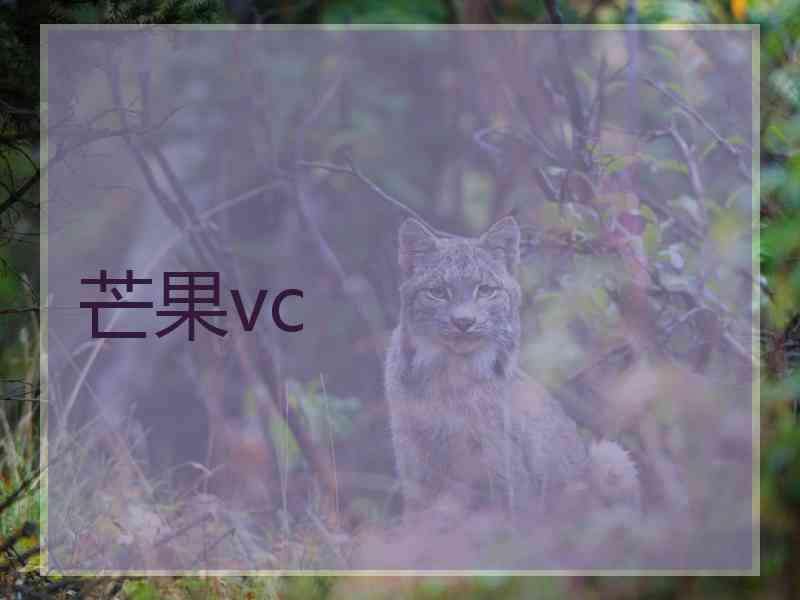 芒果vc