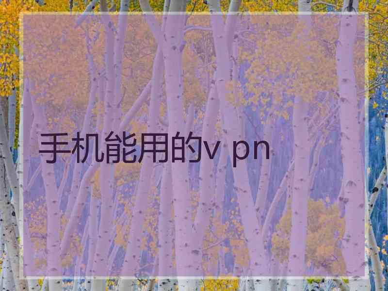 手机能用的v pn