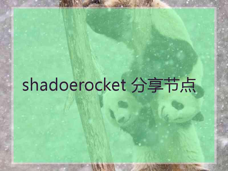 shadoerocket 分享节点