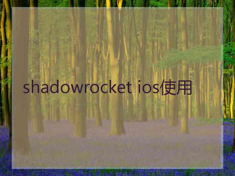shadowrocket ios使用