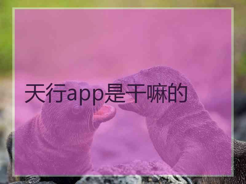 天行app是干嘛的