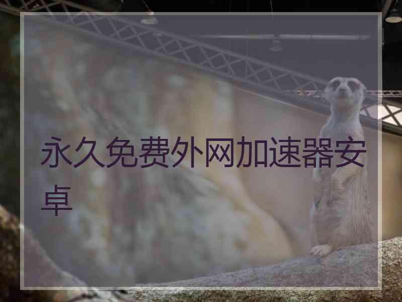 永久免费外网加速器安卓