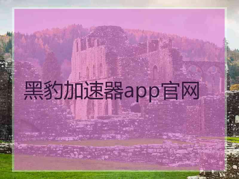 黑豹加速器app官网