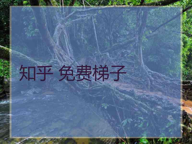 知乎 免费梯子