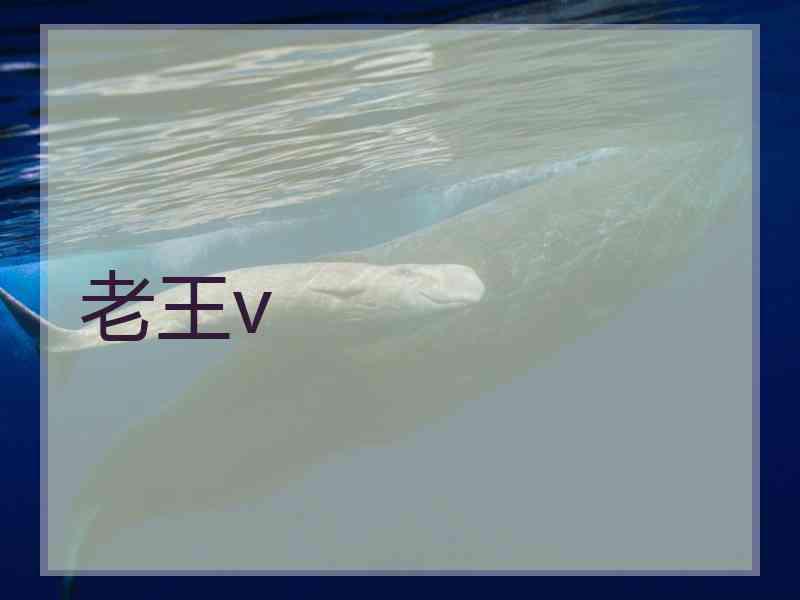 老王v