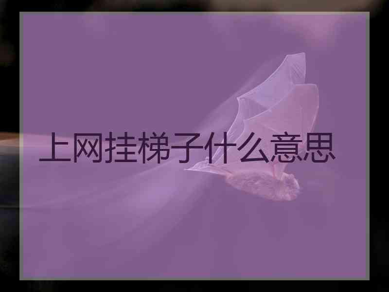 上网挂梯子什么意思