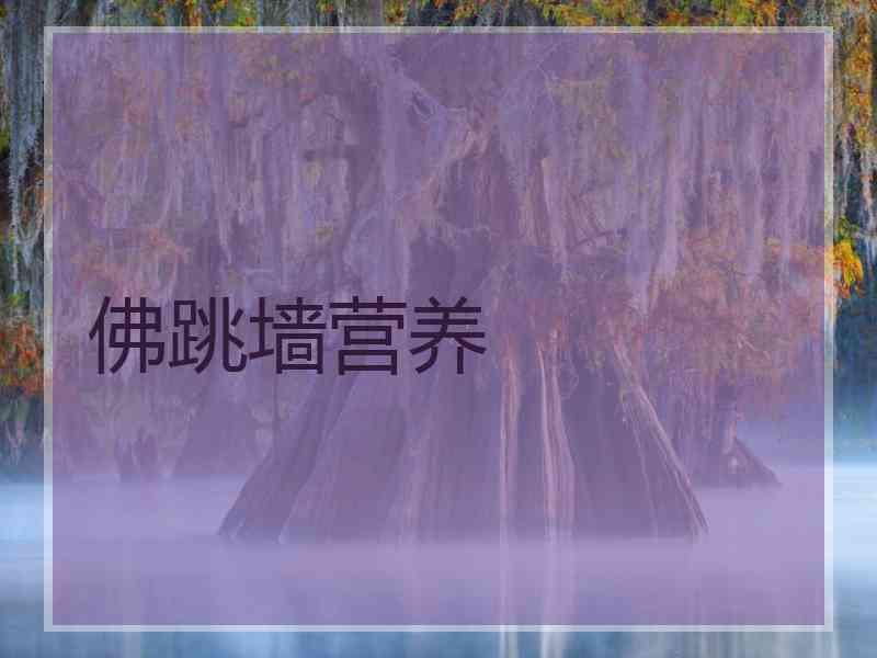 佛跳墙营养