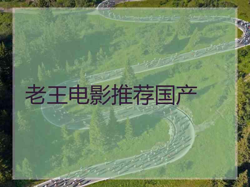 老王电影推荐国产