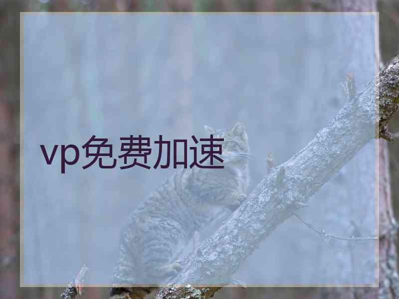 vp免费加速
