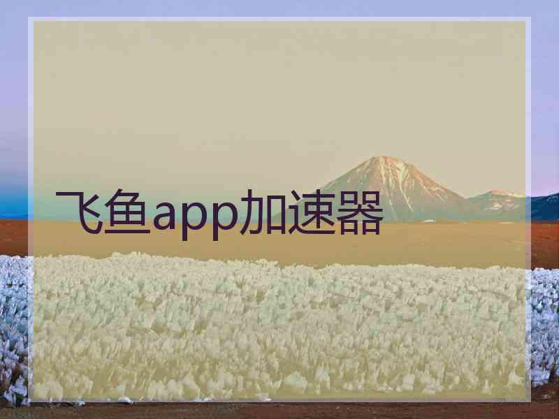 飞鱼app加速器
