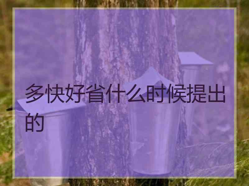 多快好省什么时候提出的
