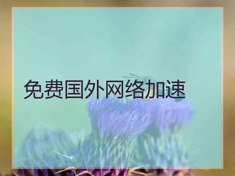 免费国外网络加速