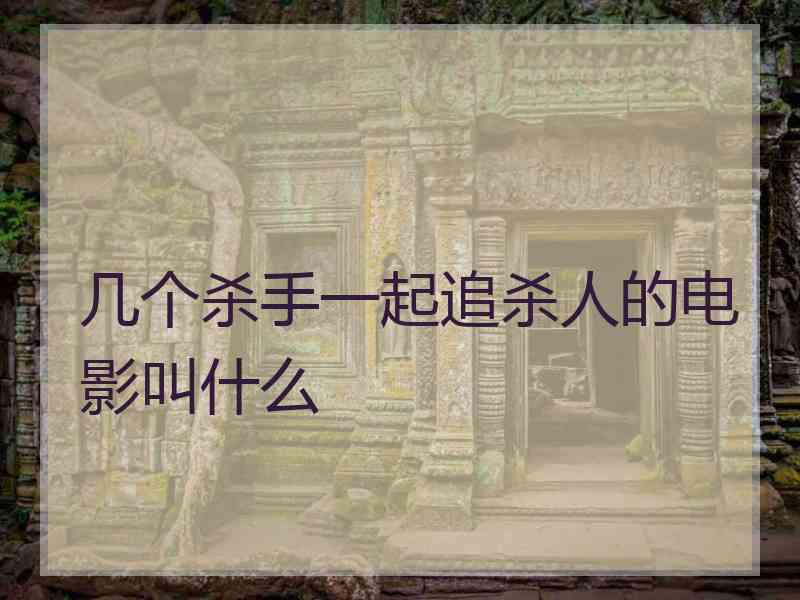 几个杀手一起追杀人的电影叫什么