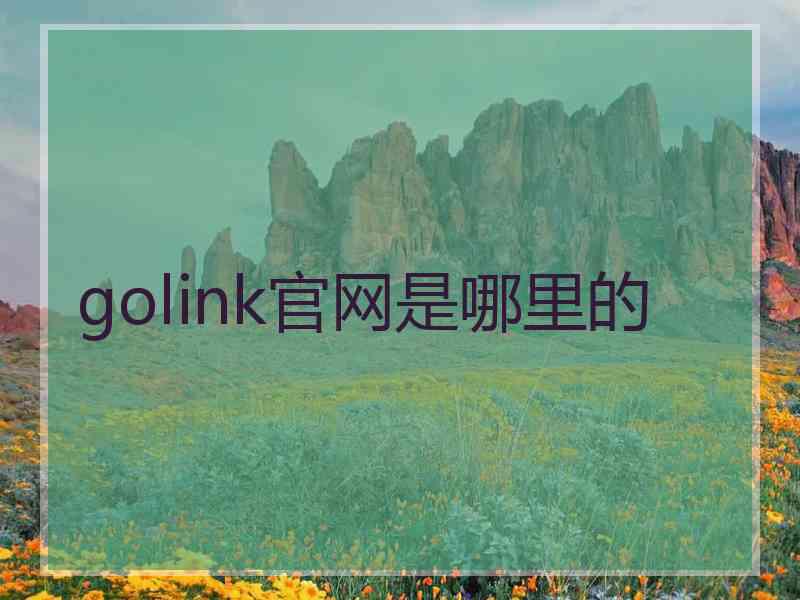 golink官网是哪里的