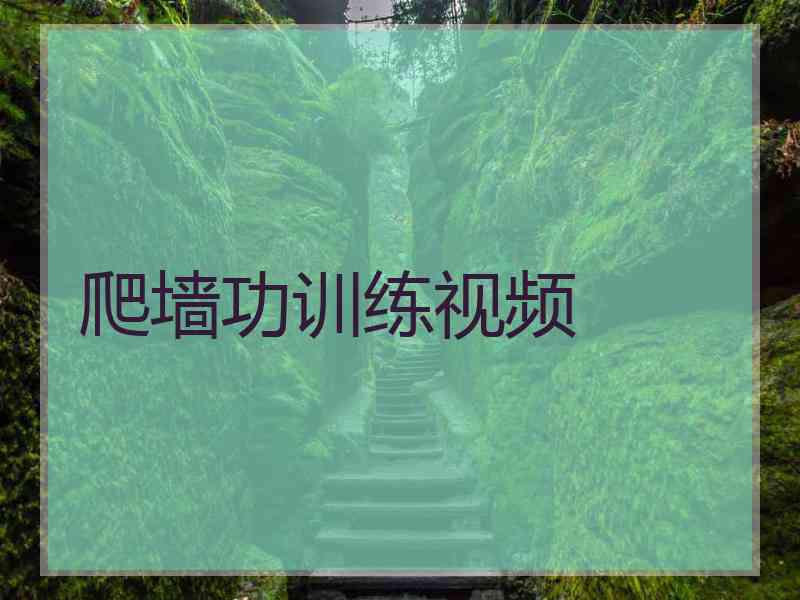 爬墙功训练视频