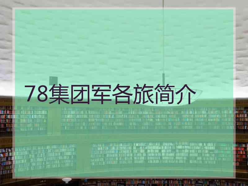 78集团军各旅简介