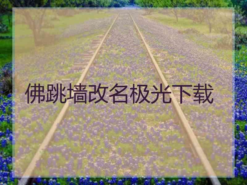 佛跳墙改名极光下载