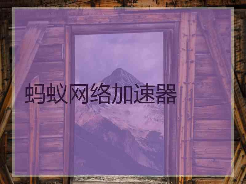 蚂蚁网络加速器