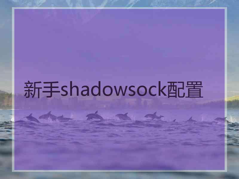 新手shadowsock配置
