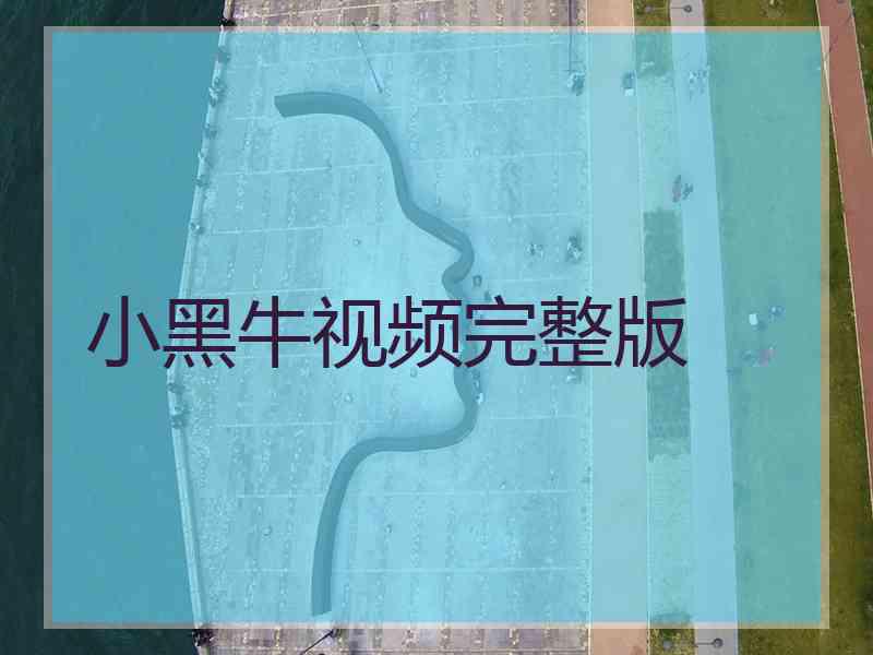 小黑牛视频完整版