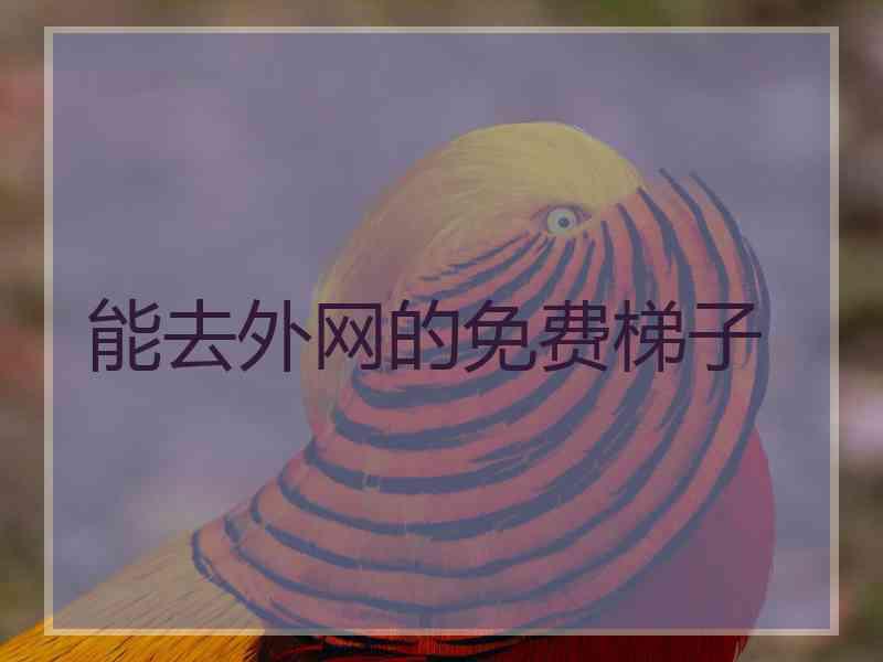 能去外网的免费梯子