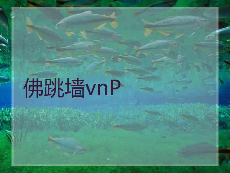 佛跳墙vnP