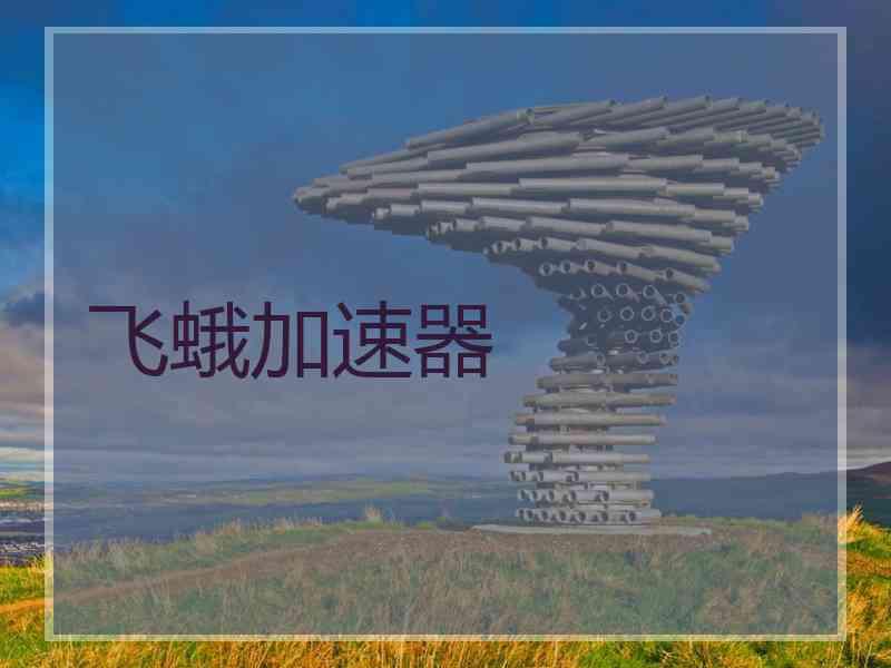 飞蛾加速器