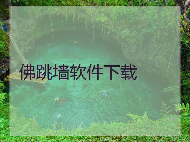 佛跳墙软件下载