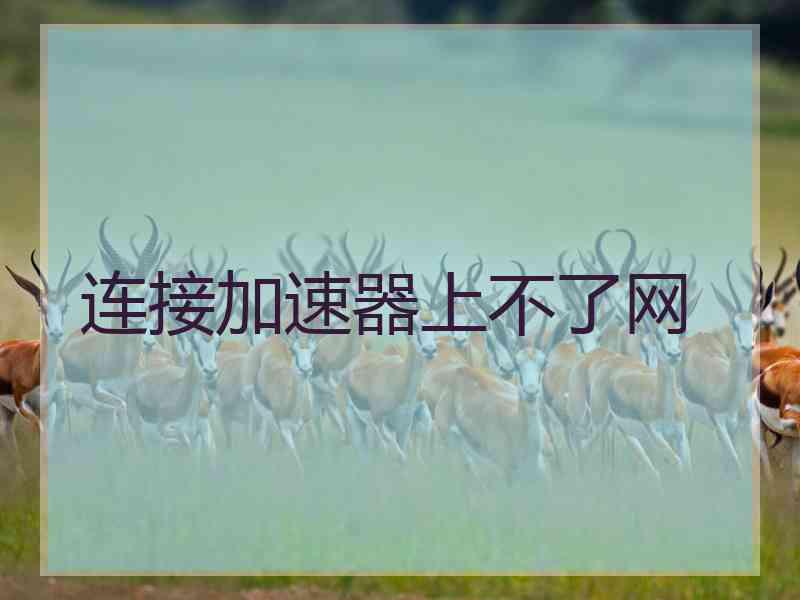 连接加速器上不了网
