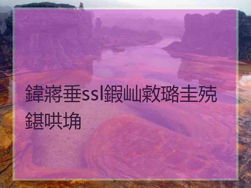 鍏嶈垂ssl鍜屾敹璐圭殑鍖哄埆
