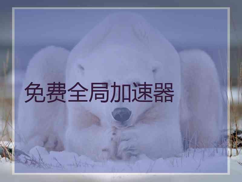 免费全局加速器